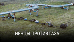 "Ненцы против газа". Режиссер: Серджио Гиззарди