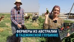 Семья фермеров из Австралии обосновалась в Таджикистане: держат скот, делают сыр и внедряют новые технологии