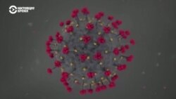 Новый штамм коронавируса "омикрон": теперь без потери обоняния