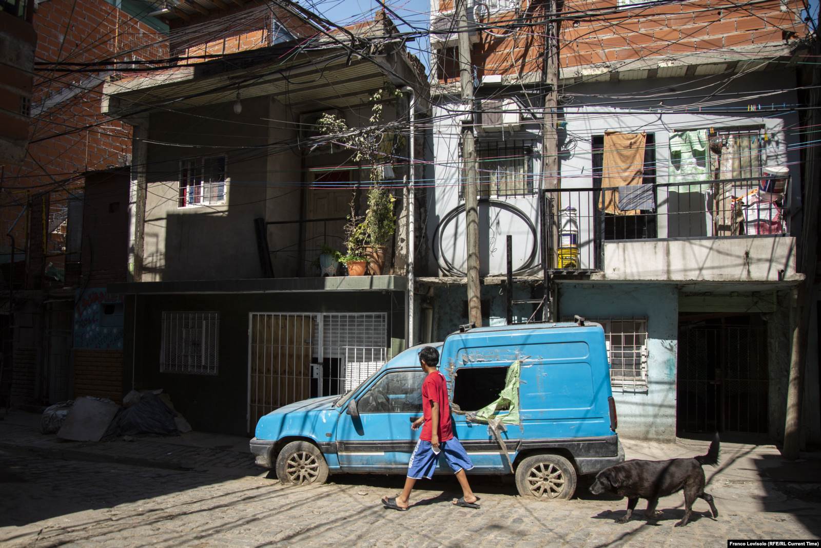 В "Вище 31" много собак. По словам местных жителей, все их здесь кормят и любят. Фото: Франко Ловисоло
