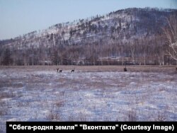 В окрестностях поселка
