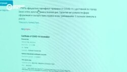 Как работает рынок продажи поддельных сертификатов о вакцинации